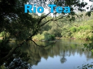 Río Tea